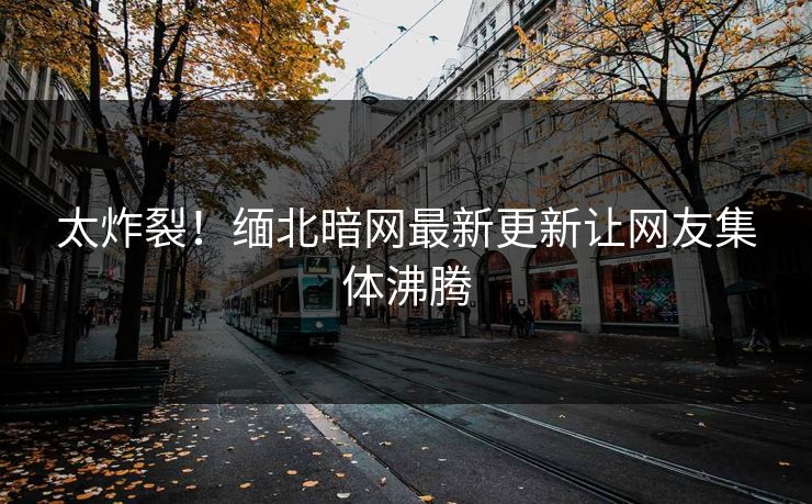太炸裂！缅北暗网最新更新让网友集体沸腾