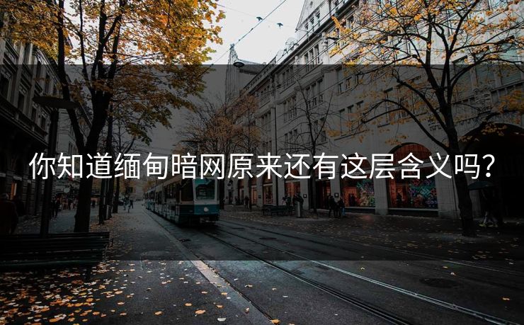 你知道缅甸暗网原来还有这层含义吗？