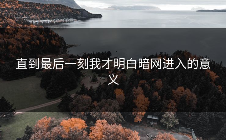 直到最后一刻我才明白暗网进入的意义