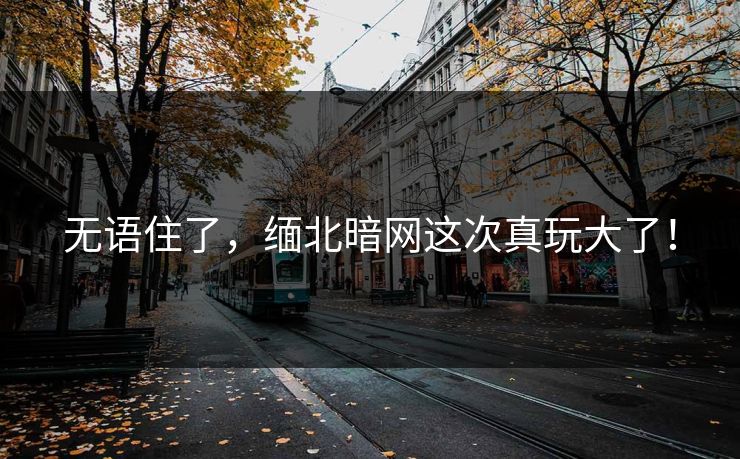 无语住了，缅北暗网这次真玩大了！