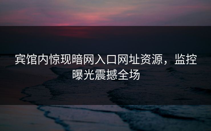 宾馆内惊现暗网入口网址资源，监控曝光震撼全场