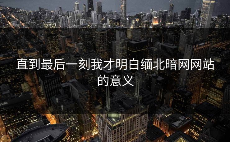 直到最后一刻我才明白缅北暗网网站的意义