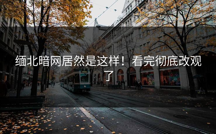缅北暗网居然是这样！看完彻底改观了