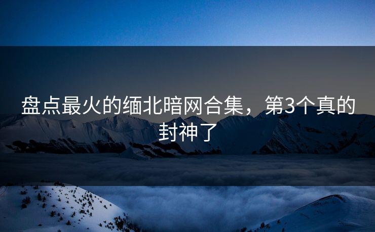盘点最火的缅北暗网合集，第3个真的封神了