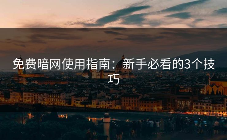 免费暗网使用指南：新手必看的3个技巧