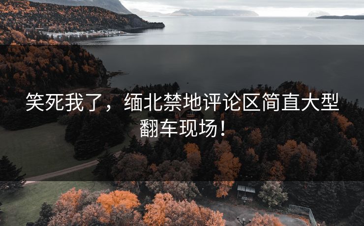 笑死我了，缅北禁地评论区简直大型翻车现场！