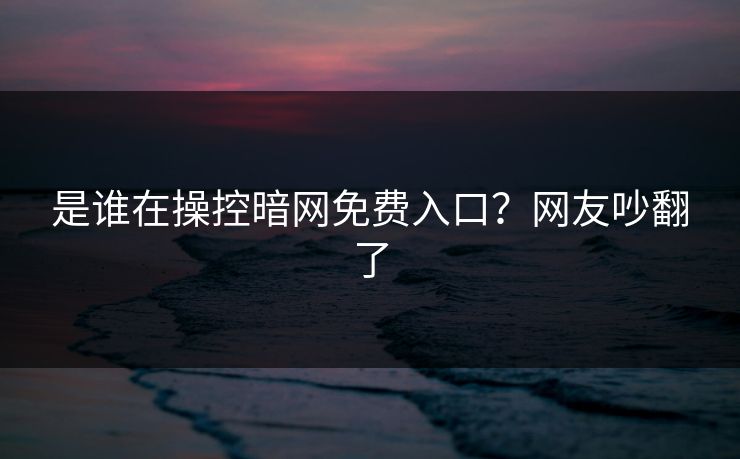 是谁在操控暗网免费入口？网友吵翻了