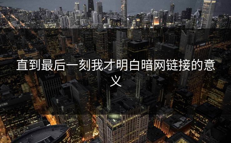 直到最后一刻我才明白暗网链接的意义