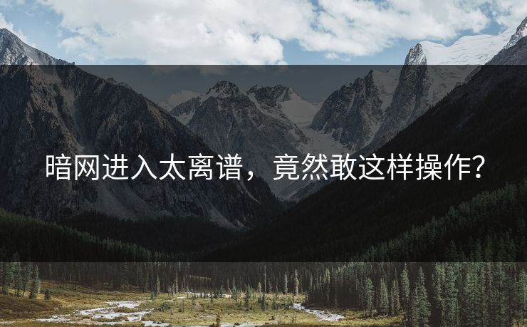 暗网进入太离谱，竟然敢这样操作？