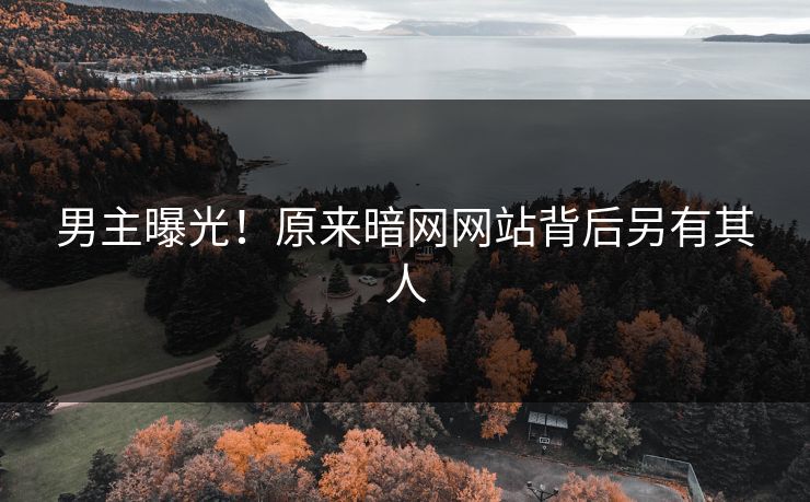 男主曝光！原来暗网网站背后另有其人