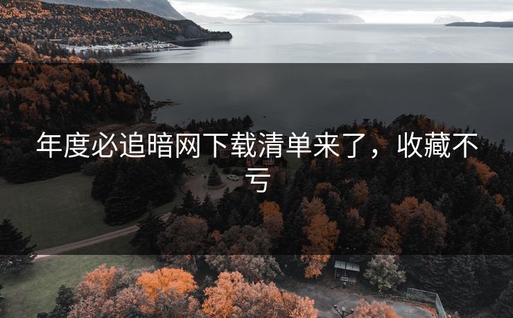 年度必追暗网下载清单来了，收藏不亏