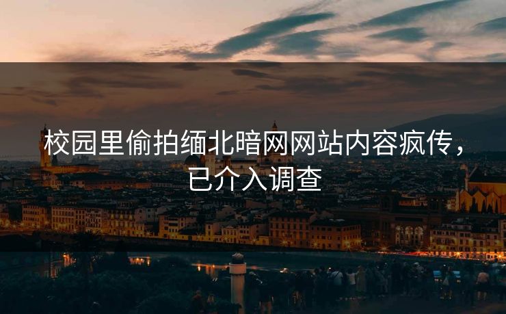 校园里偷拍缅北暗网网站内容疯传，已介入调查