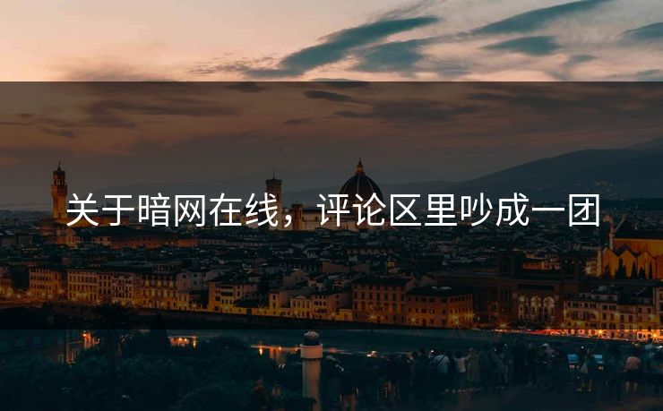 关于暗网在线，评论区里吵成一团