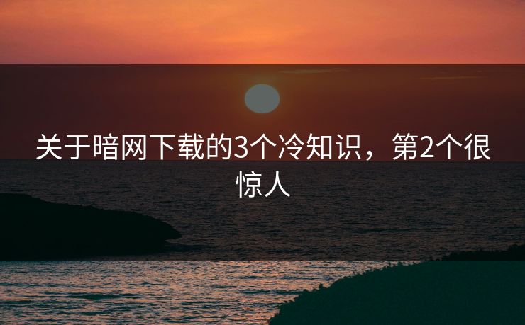 关于暗网下载的3个冷知识，第2个很惊人