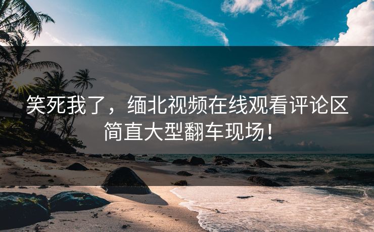 笑死我了，缅北视频在线观看评论区简直大型翻车现场！