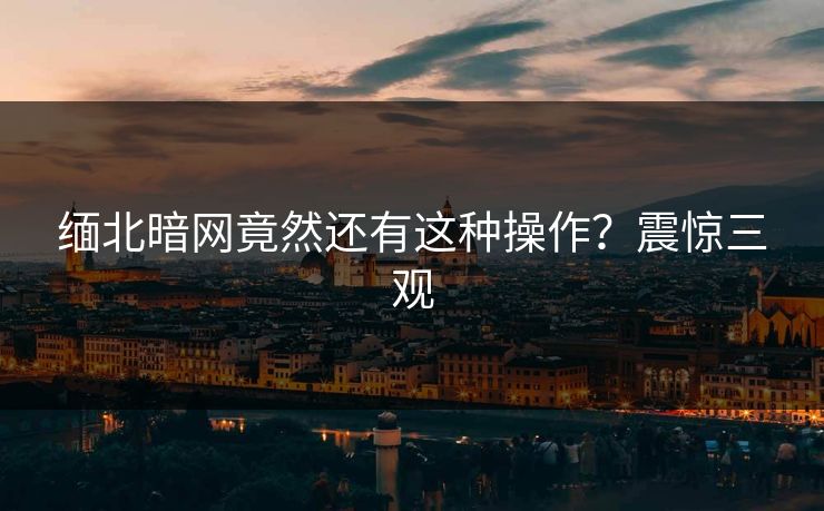缅北暗网竟然还有这种操作？震惊三观