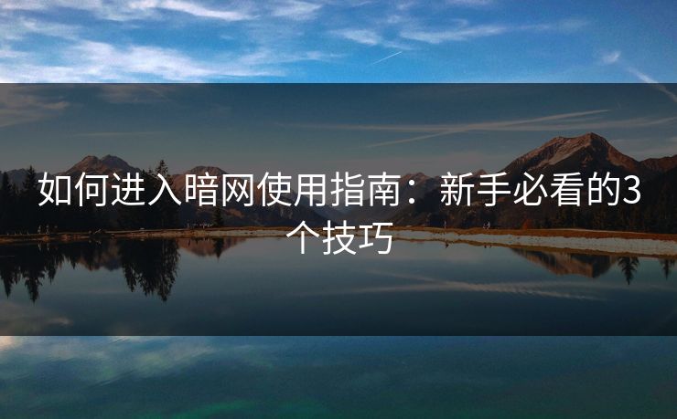 如何进入暗网使用指南：新手必看的3个技巧