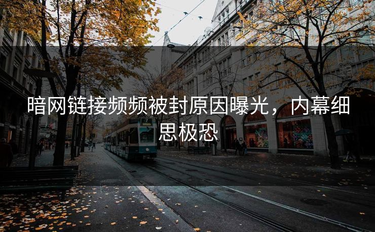 暗网链接频频被封原因曝光，内幕细思极恐