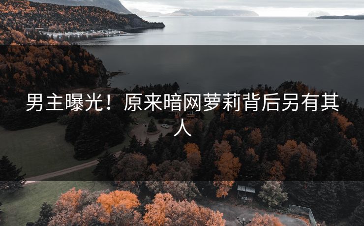 男主曝光！原来暗网萝莉背后另有其人