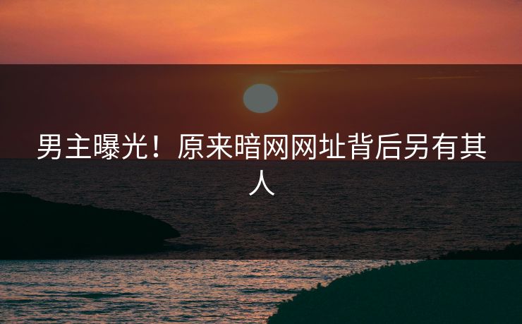 男主曝光！原来暗网网址背后另有其人