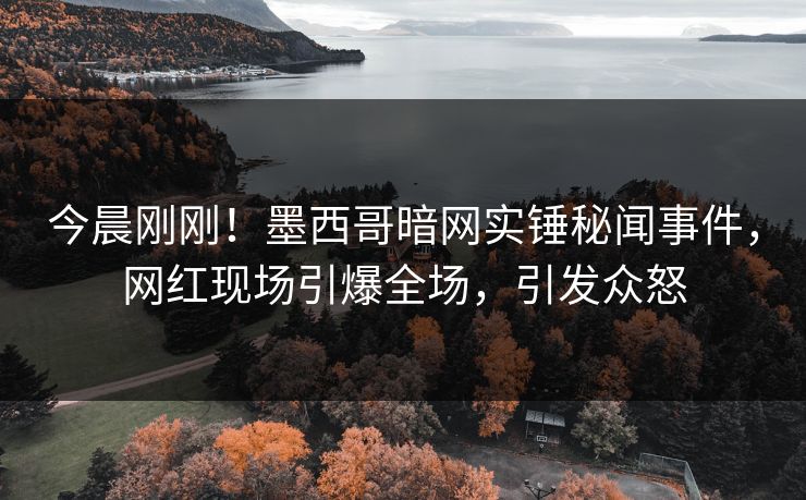 今晨刚刚！墨西哥暗网实锤秘闻事件，网红现场引爆全场，引发众怒