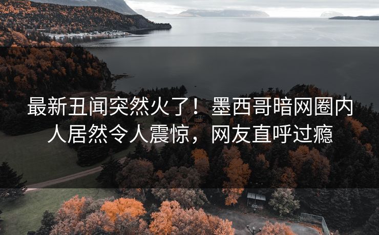 最新丑闻突然火了！墨西哥暗网圈内人居然令人震惊，网友直呼过瘾