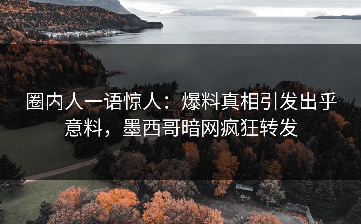 圈内人一语惊人：爆料真相引发出乎意料，墨西哥暗网疯狂转发