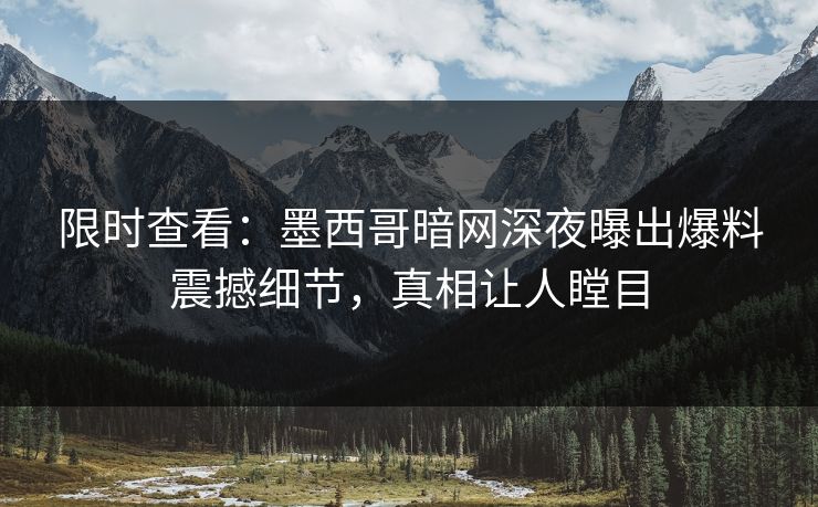 限时查看：墨西哥暗网深夜曝出爆料震撼细节，真相让人瞠目