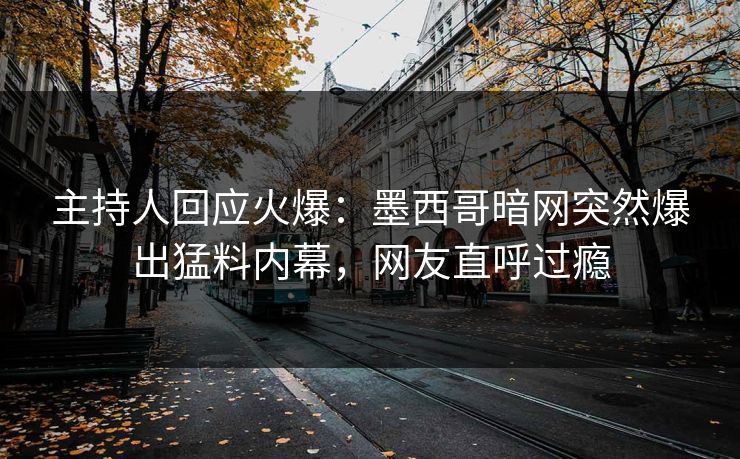 主持人回应火爆：墨西哥暗网突然爆出猛料内幕，网友直呼过瘾