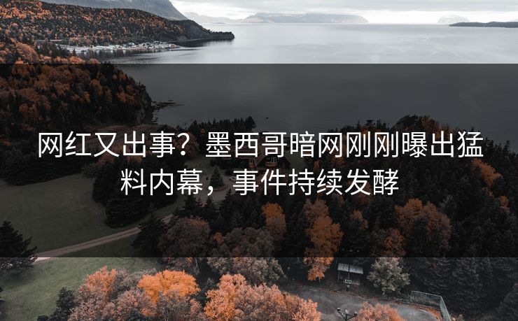网红又出事？墨西哥暗网刚刚曝出猛料内幕，事件持续发酵