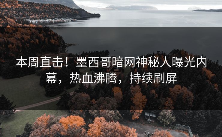 本周直击！墨西哥暗网神秘人曝光内幕，热血沸腾，持续刷屏
