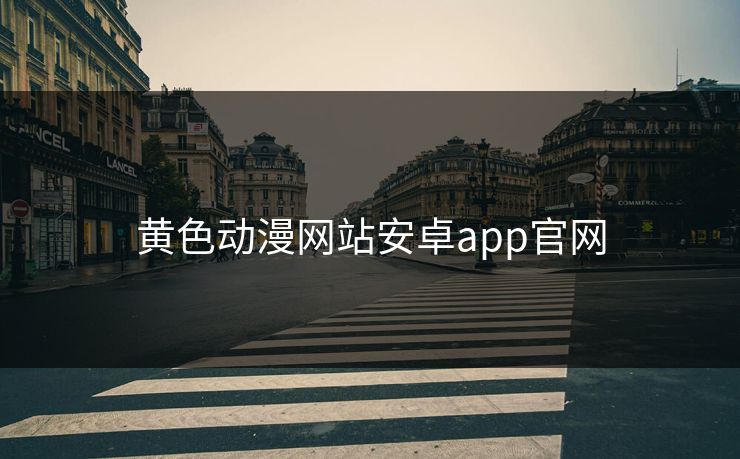 黄色动漫网站安卓app官网
