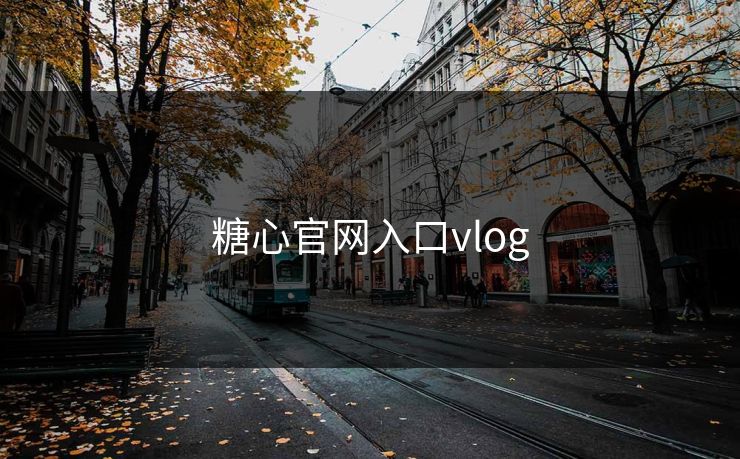 糖心官网入口vlog
